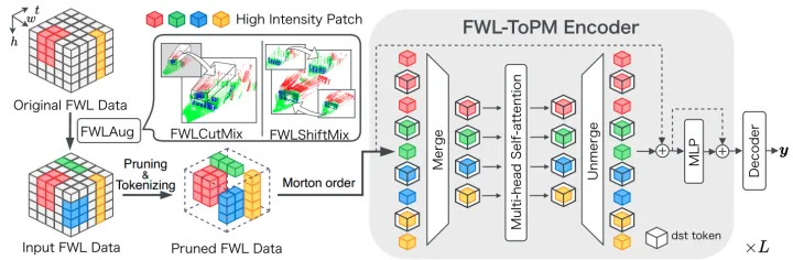 Towards Real-Time Full-Waveform LiDAR Transformers via Intensity-Guided Token Reduction and Physics-Aware Augmentation